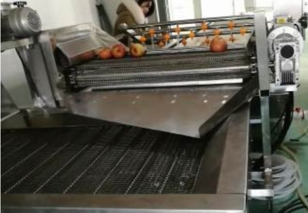 水果清洗风干线视频